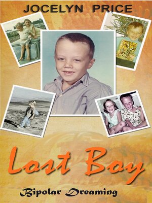 cover image of Lost Boy